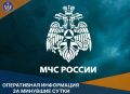 В Брянской области за минувшие сутки:
