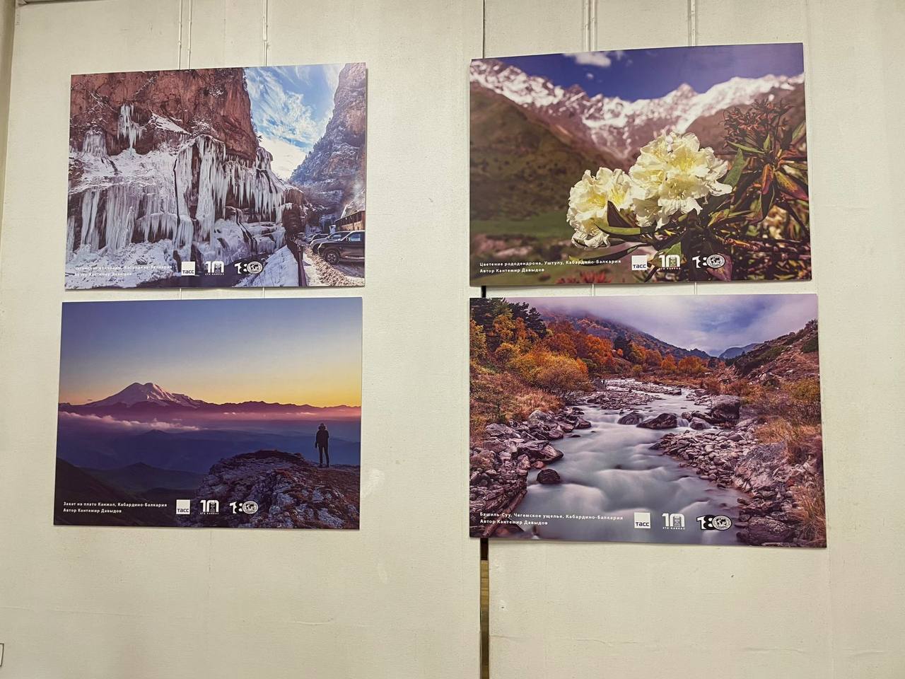 Сегодня дан старт «Ночи искусств-2025» в Брянском областном художественном музейно-выставочном центре Сегодня дан старт «Ночи искусств-2025» в Брянском областном художественном музейно-выставочном центре