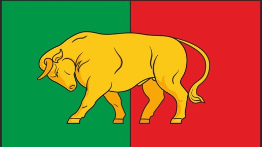 В геральдический регистр РФ внесли флаги и гербы трех муниципальных районов Брянщины