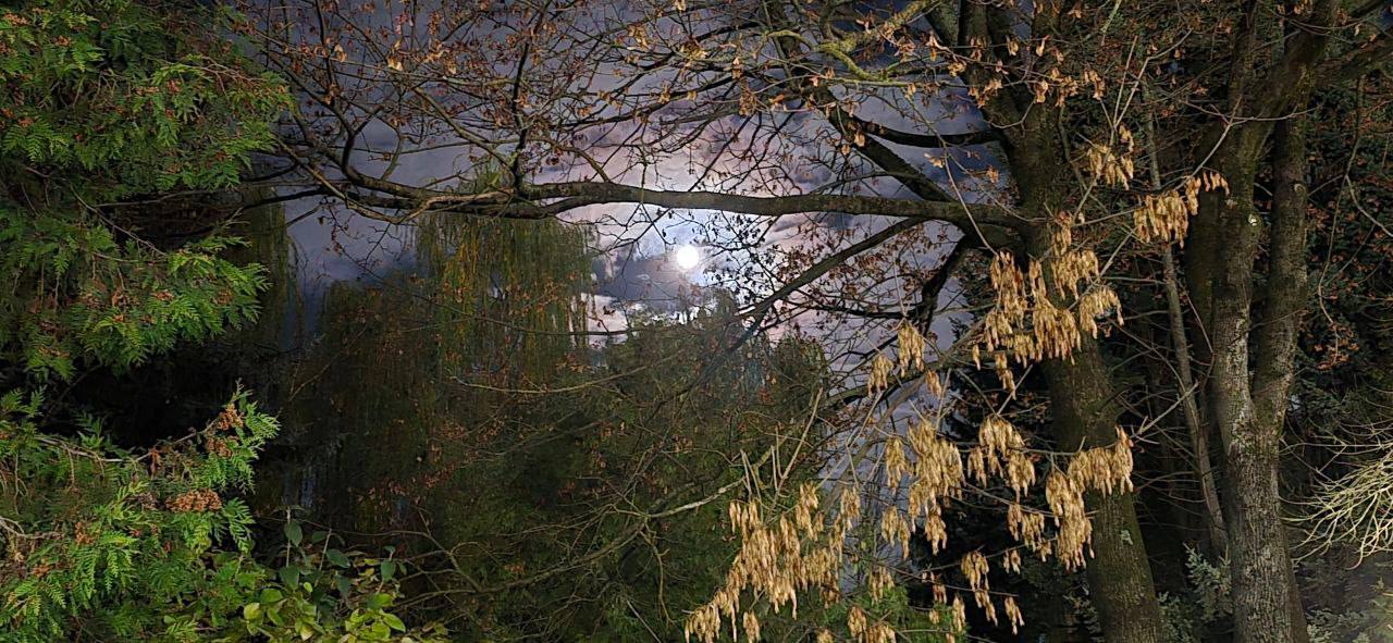 На темном вечернем небе сегодня, 5 ноября, безоблачно, так что жители Брянской области любуются диском луны