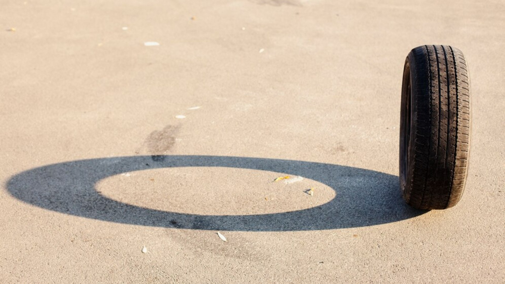 Эко-акция "Сдай шины – спаси бобра Брянщины!" стартует с 10 ноября