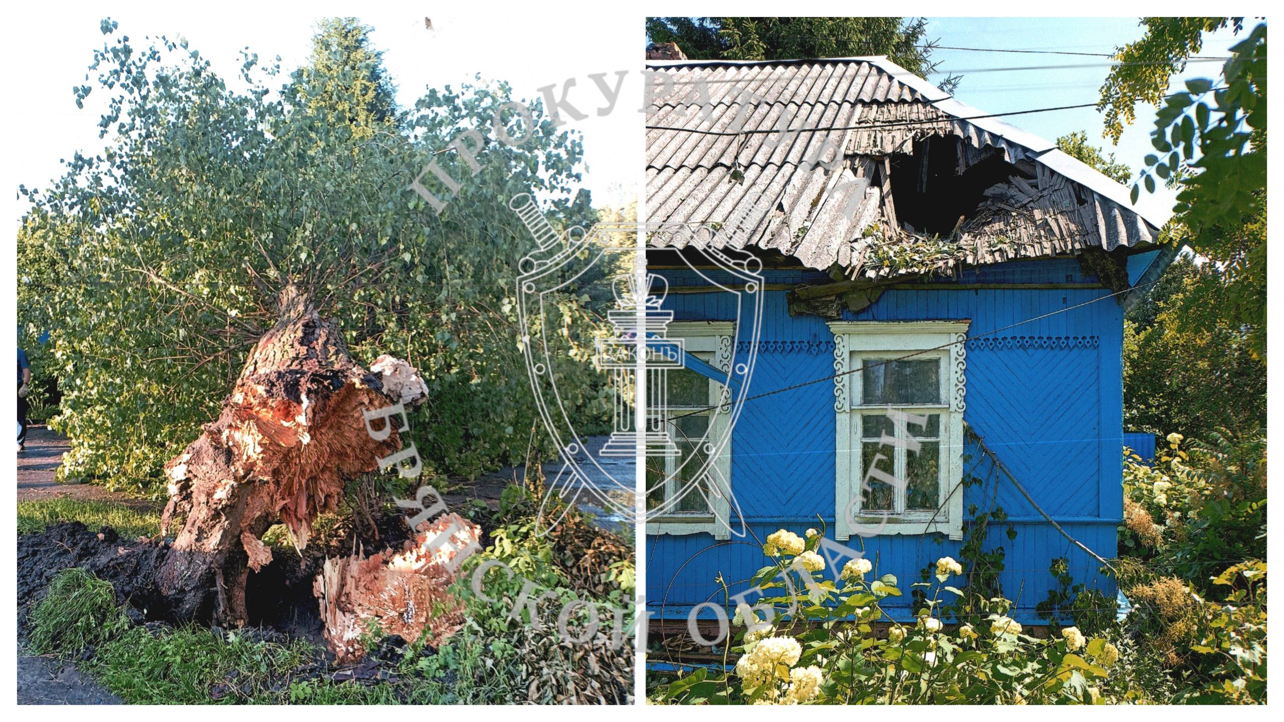 Прокуратура Советского района выступила в защиту пенсионера, чей дом пострадал из-за упавшего дерева