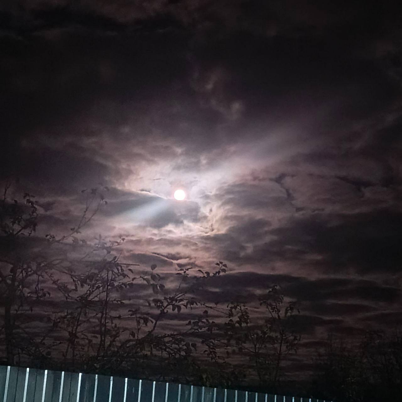 Фото наших подписчиков вчерашней «Бобровой Луны» Фото наших подписчиков вчерашней «Бобровой Луны»