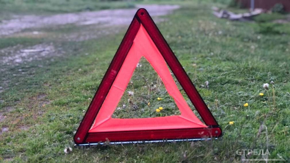 По улице Садовой в Злынке Брянской области произошло ДТП