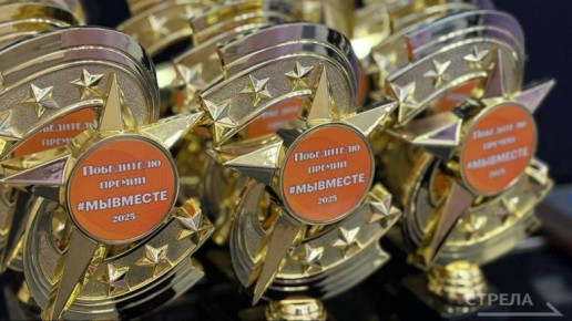 В Брянске наградили победителей регионального этапа премии «Мы вместе»