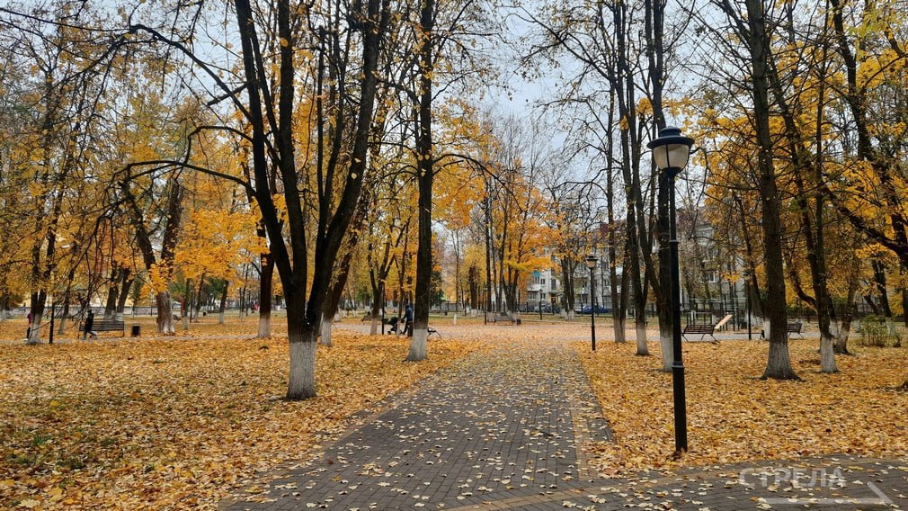 Завтра, 7 ноября, в Брянской области прогнозируется облачная погода с прояснениями