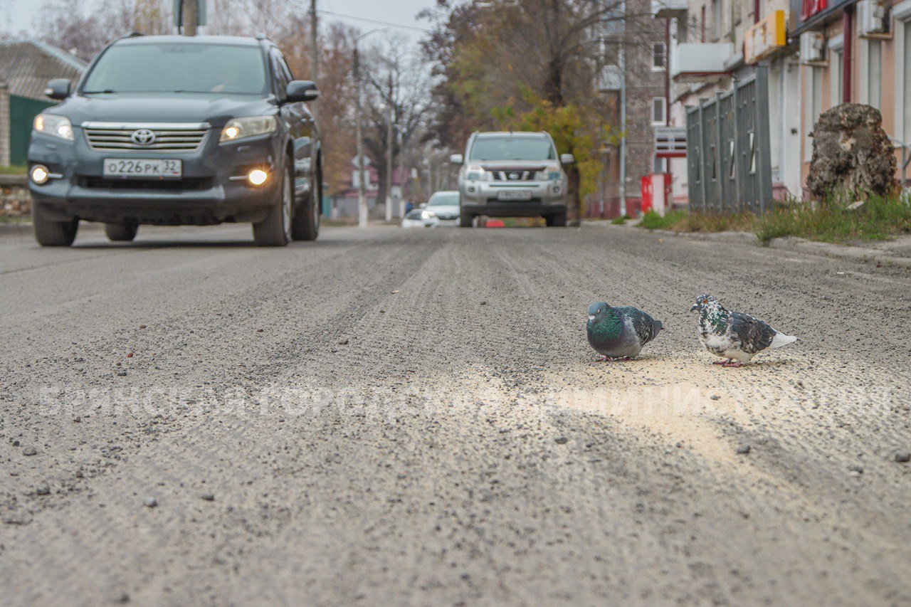 В Бежицком районе продолжается ремонт улицы Камозина В Бежицком районе продолжается ремонт улицы Камозина