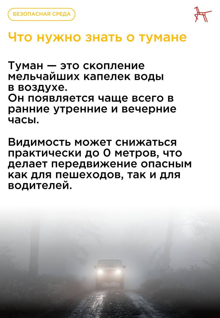 Туман может быть красивым, но он значительно снижает видимость и делает окружающую среду опаснее — особенно для детей, переходящих дорогу, и водителей Туман может быть красивым, но он значительно снижает видимость и делает окружающую среду опаснее — особенно для детей, переходящих дорогу, и водителей