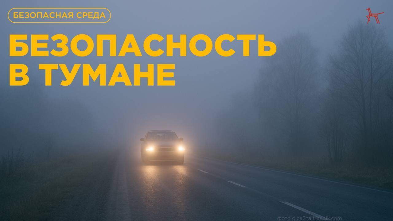 Туман может быть красивым, но он значительно снижает видимость и делает окружающую среду опаснее — особенно для детей, переходящих дорогу, и водителей