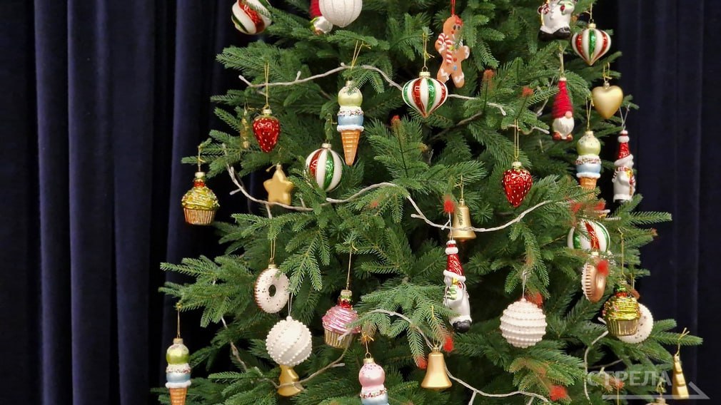 Брянцев ожидают самые продолжительные новогодние выходные за 12 лет