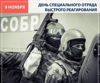 Уважаемые сотрудники и ветераны отрядов милиции специального назначения (СОБР) Российской Федерации!