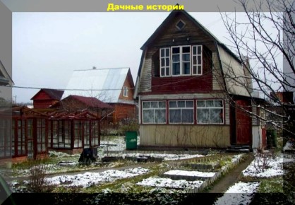 Зимние заботы садоводов: подготовка участка к морозам