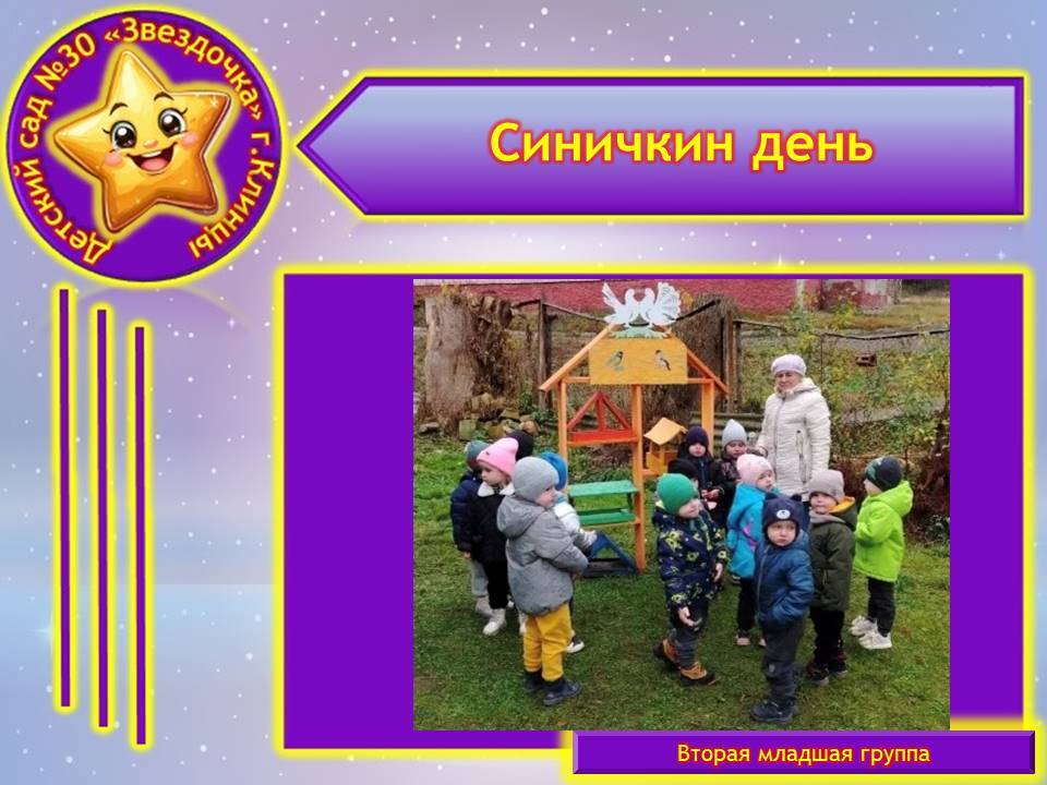 В МБДОУ-детский сад №30 «Звёздочка» во второй младшей группе прошло развлечение «Синичкин день»