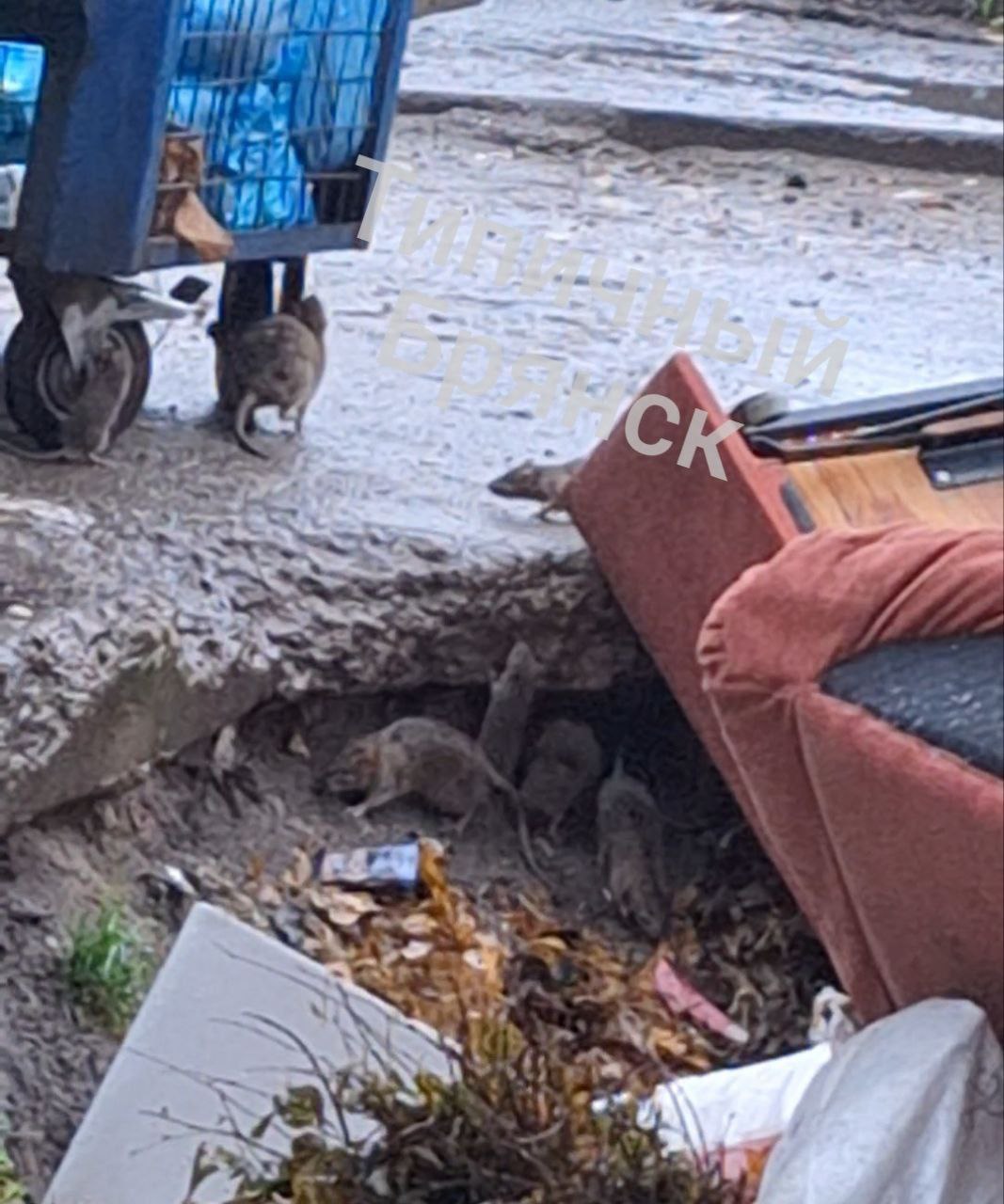 Обратная связь. Организована прокурорская проверка Обратная связь. Организована прокурорская проверка