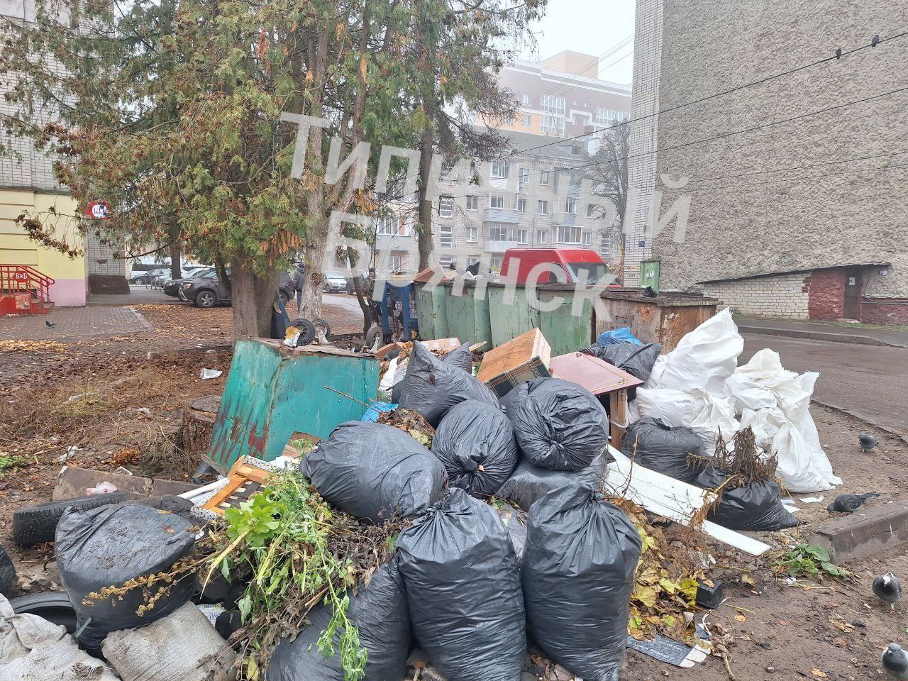 Обратная связь. Организована прокурорская проверка Обратная связь. Организована прокурорская проверка