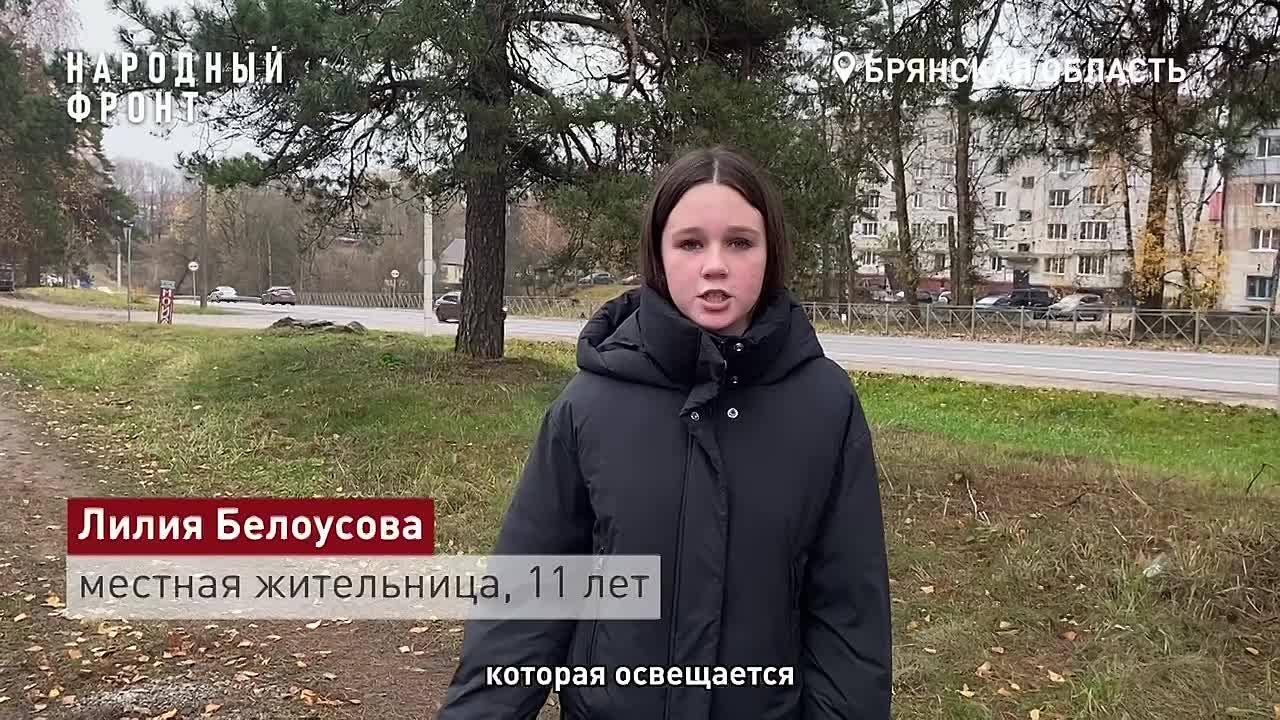 Обратная связь: прокуратура Брянского района проверит видеообращение жителей п. Мичуринский