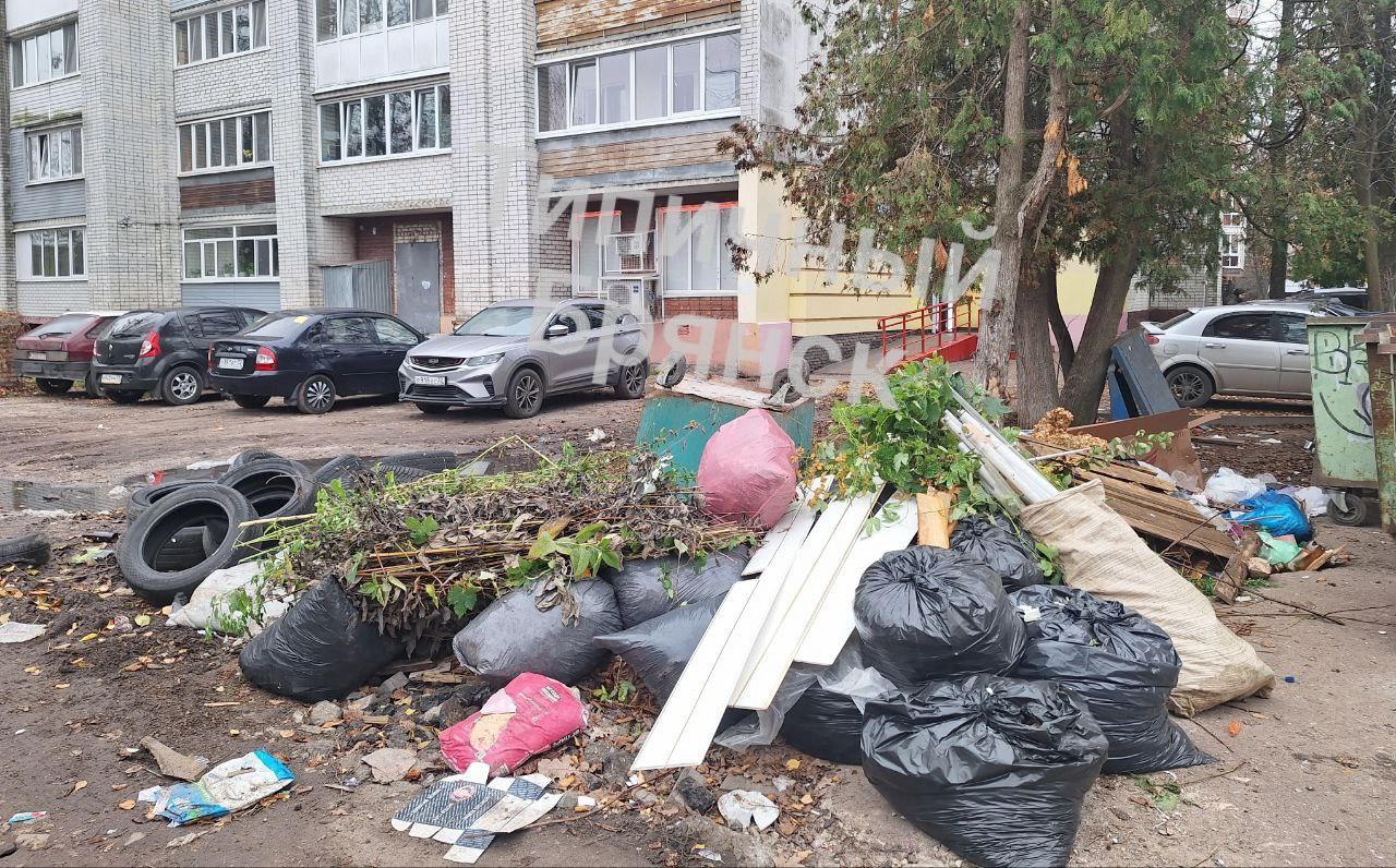 Обратная связь. Организована прокурорская проверка Обратная связь. Организована прокурорская проверка