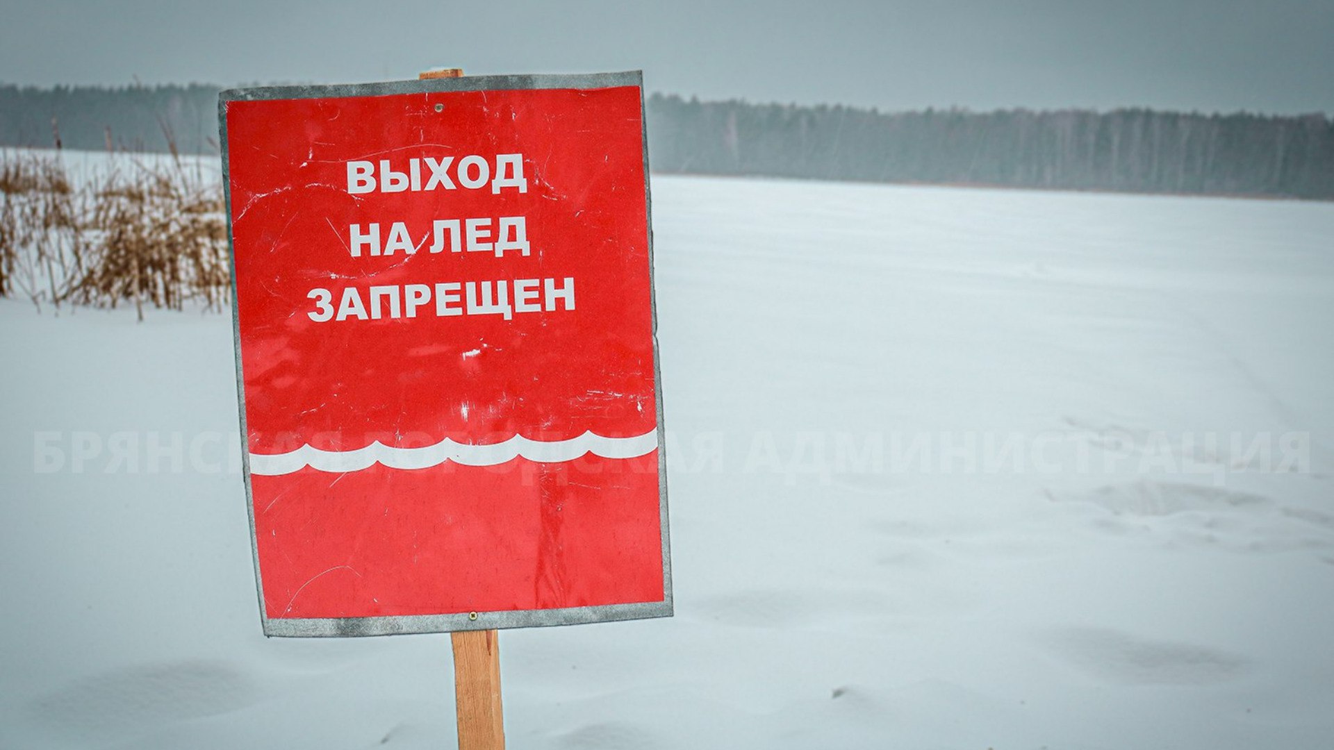 В Брянске планируют провести учения по спасению людей, провалившихся под лед