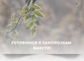 По прогнозам синоптиков, на следующей неделе ожидается похолодание и ночные заморозки