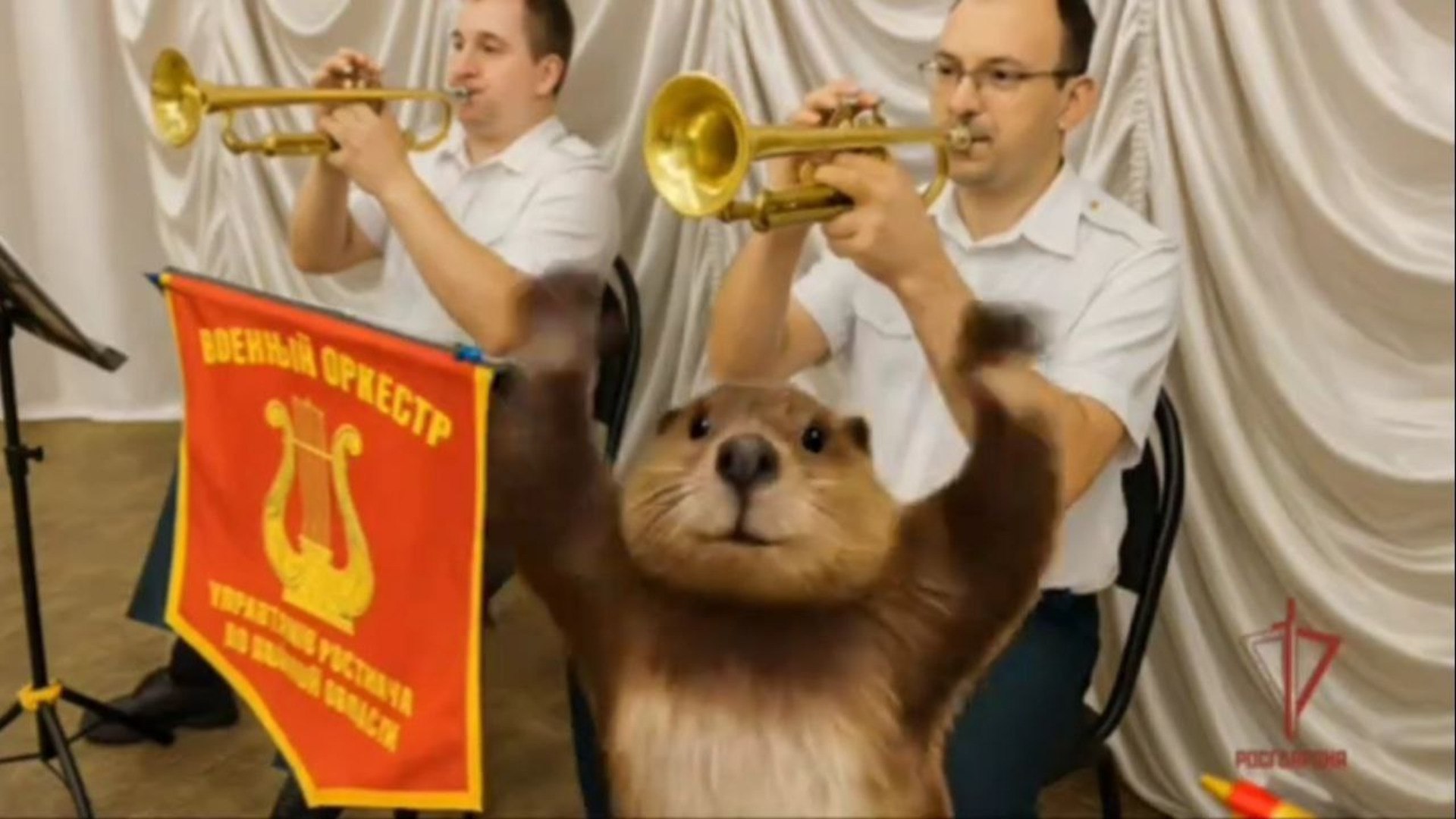 SLAVA SKRIPKA поддержал брянский оркестр Росгвардии, исполнив кавер на легендарного "Бобра"