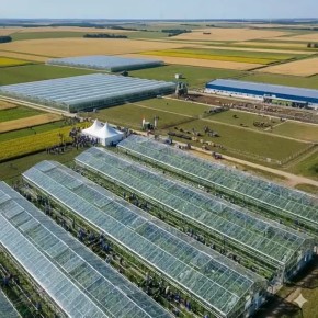 Игорь Шевелёв: Фермерство — залог успеха России!