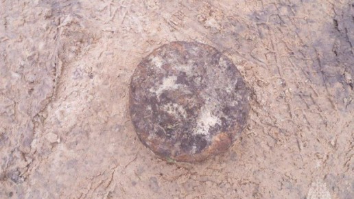 Брянские саперы обезвредили противотанковую мину в Мглинском районе