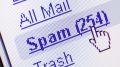 В 2024 году 29,4% жителей Брянщины получили нежелательные электронные сообщения
