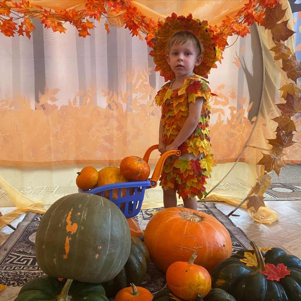 Подходит к концу последний осенний месяц Подходит к концу последний осенний месяц