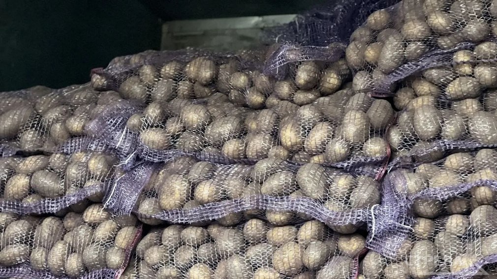 В Брянске сегодня, 15 ноября, снова проводятся ярмарки выходного дня