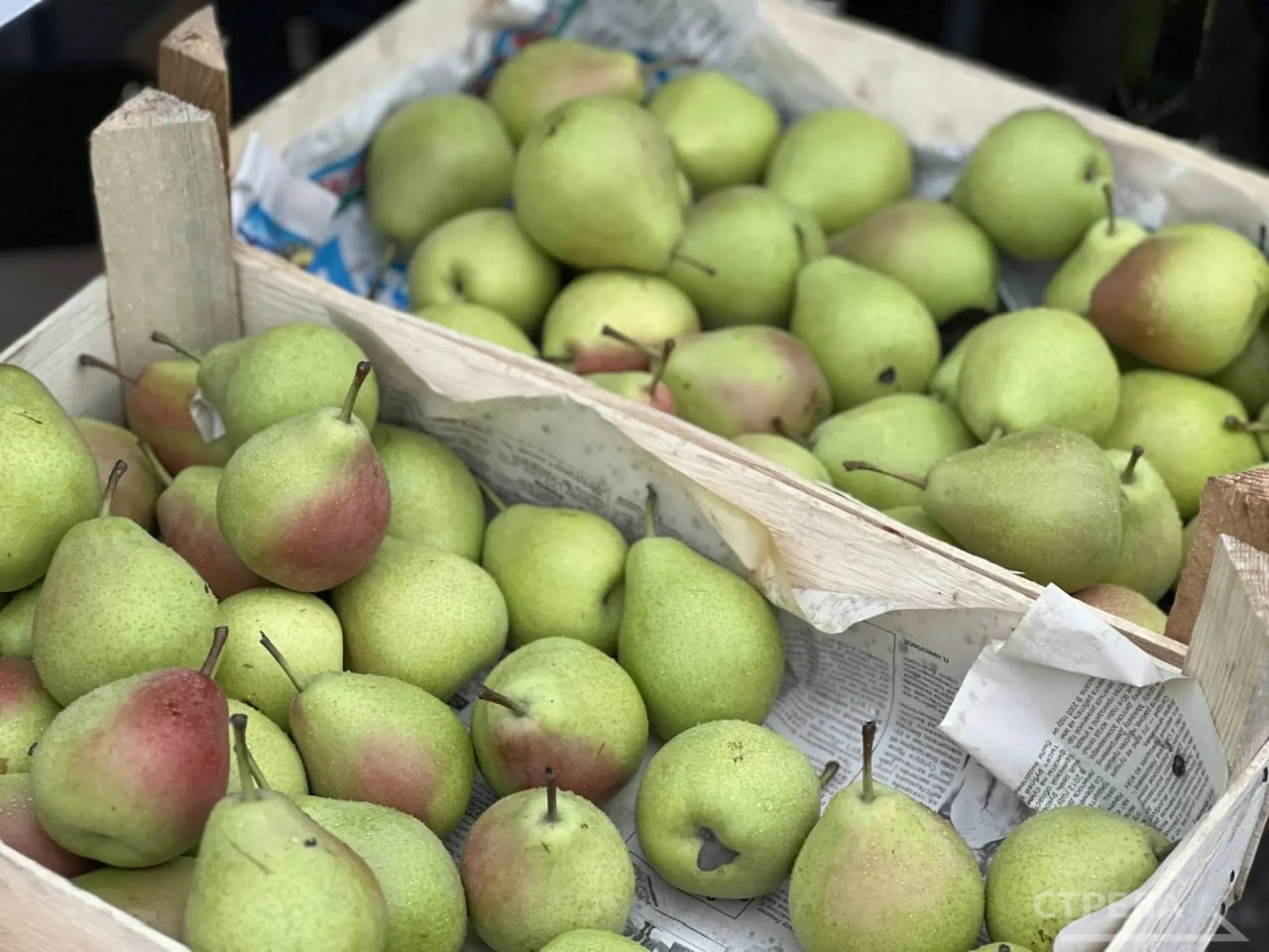 В Брянске сегодня, 15 ноября, снова проводятся ярмарки выходного дня В Брянске сегодня, 15 ноября, снова проводятся ярмарки выходного дня