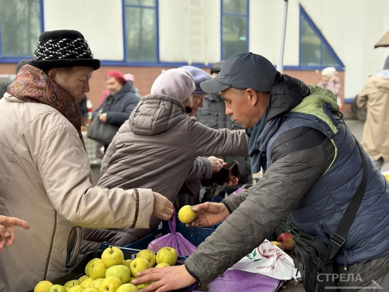 В Брянске сегодня, 15 ноября, снова проводятся ярмарки выходного дня В Брянске сегодня, 15 ноября, снова проводятся ярмарки выходного дня