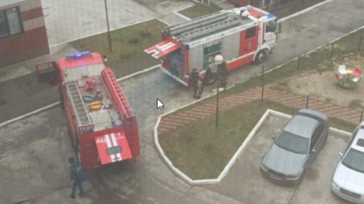 МЧС: в Брянской области за сутки потушили три пожара