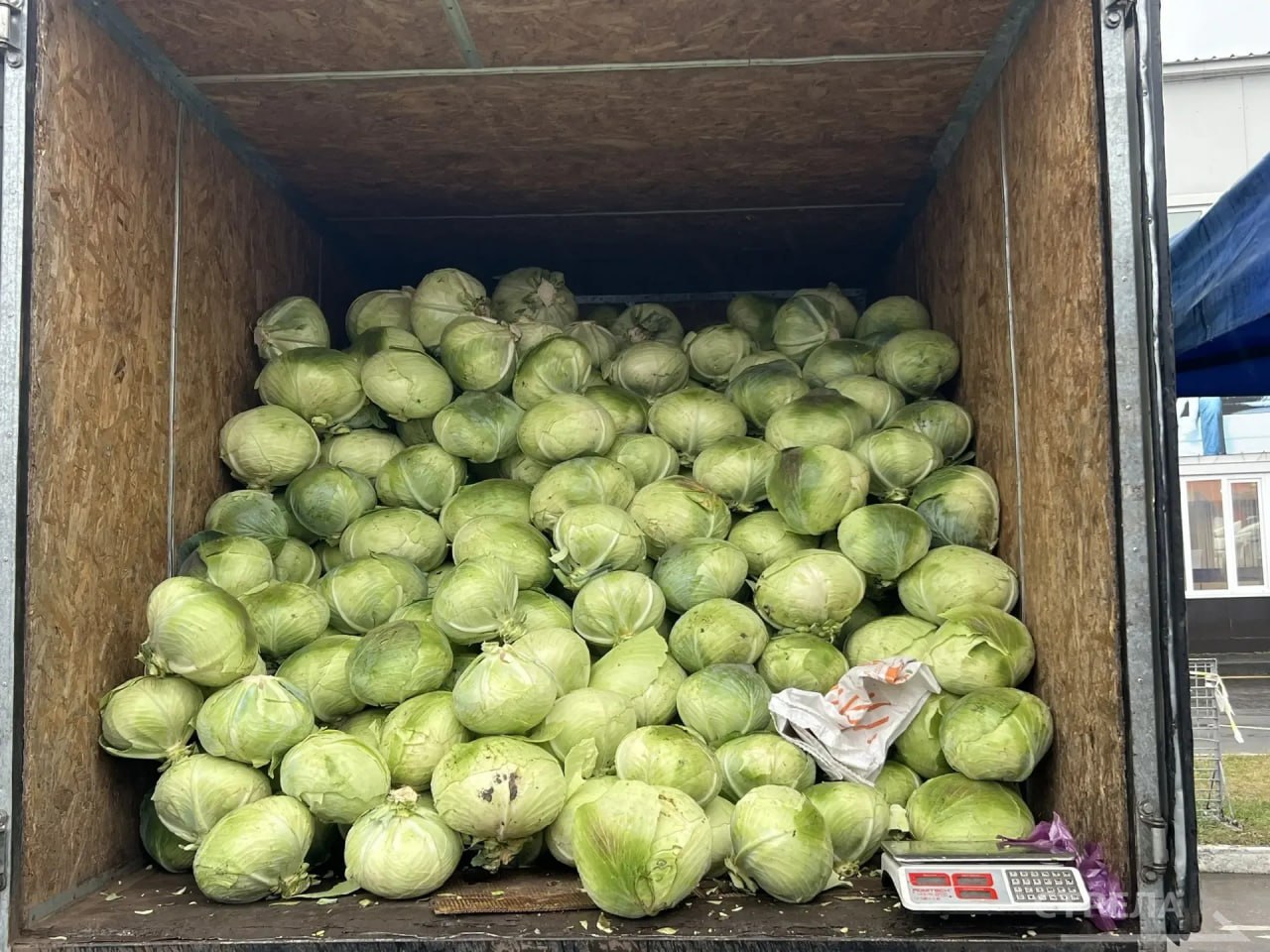 В Брянске сегодня, 15 ноября, снова проводятся ярмарки выходного дня В Брянске сегодня, 15 ноября, снова проводятся ярмарки выходного дня