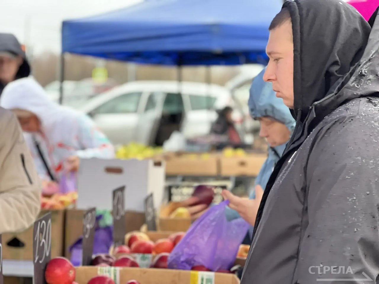 В Брянске сегодня, 15 ноября, снова проводятся ярмарки выходного дня В Брянске сегодня, 15 ноября, снова проводятся ярмарки выходного дня