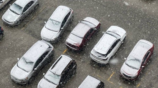 В Брянске выпал первый снег