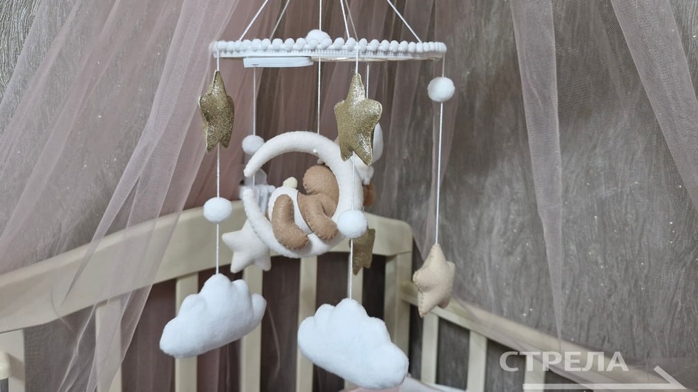 В Брянской области 22 женщин наградят за воспитание пяти и более детей