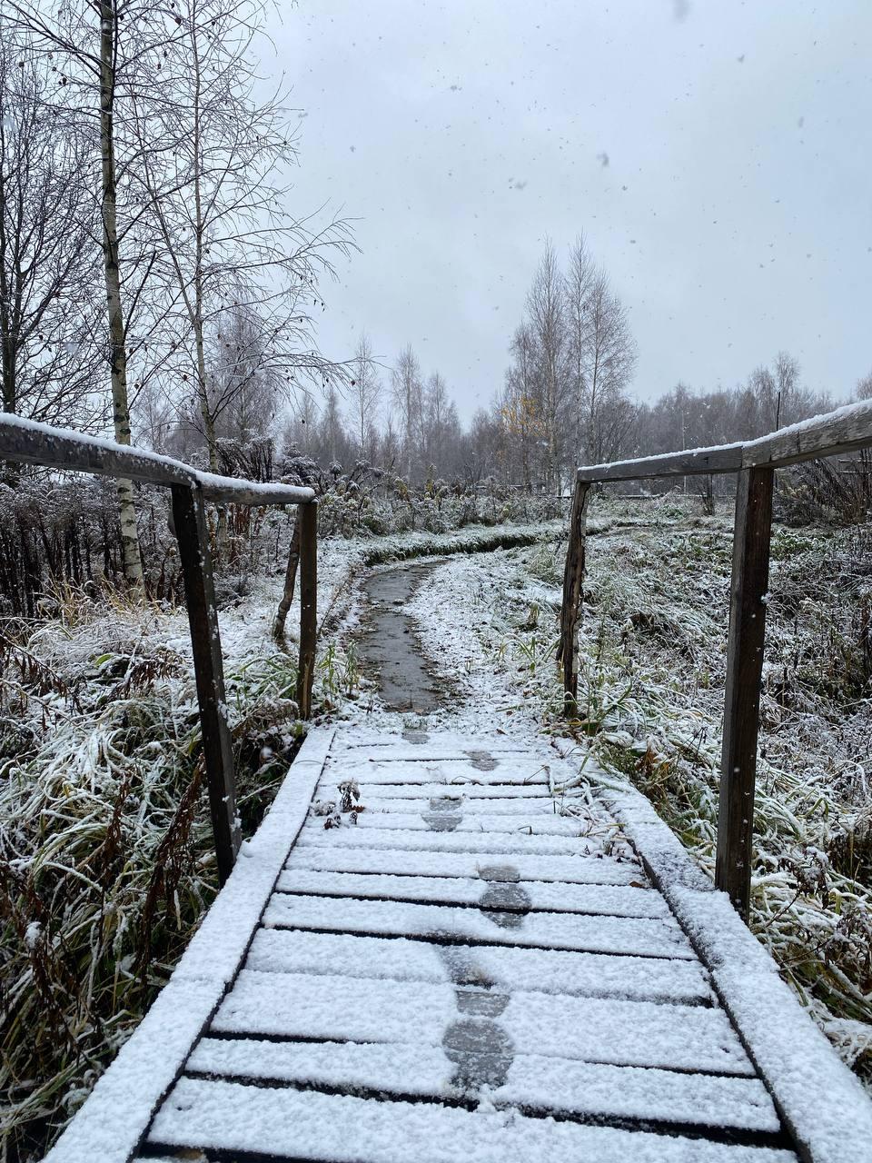 Расшарим красивые фото из телеграм-канала «Центр Дробышевского в Брянске» Расшарим красивые фото из телеграм-канала «Центр Дробышевского в Брянске»