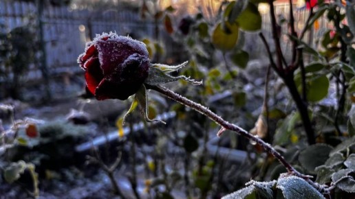 Брянцев предупредили о трех погодных опасностях в понедельник, 17 ноября