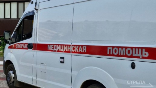 В ДТП под Брянском ранены два человека