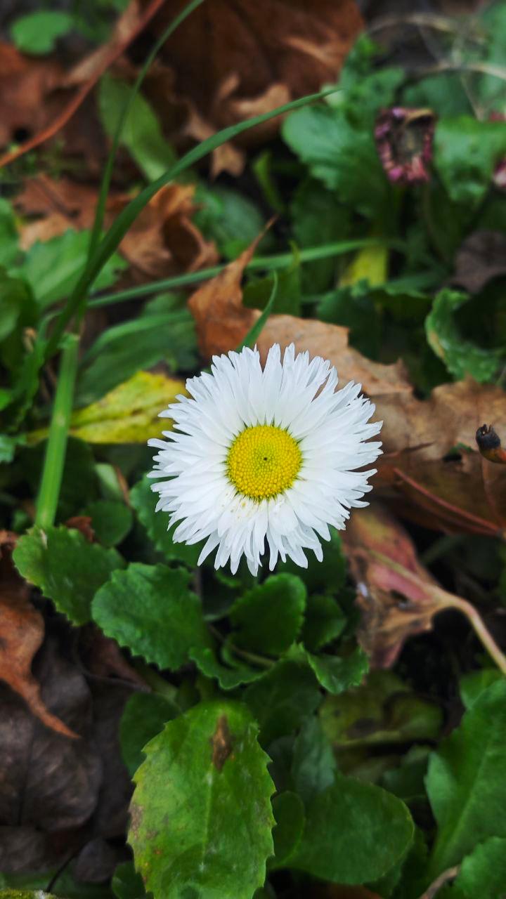 Расшарим красивые фото из телеграм-канала «Центр Дробышевского в Брянске»