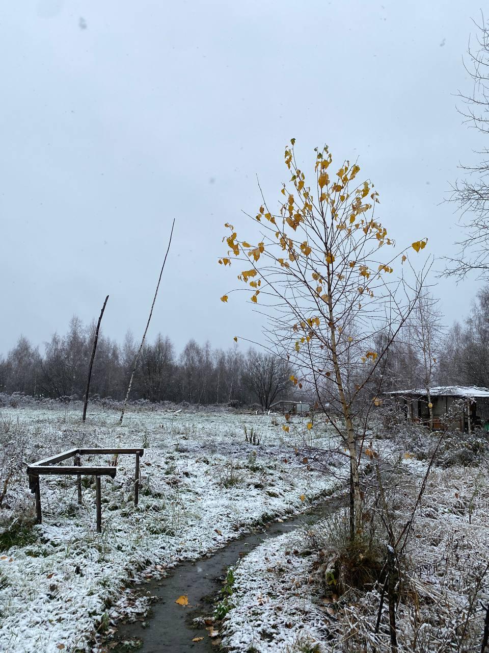 Расшарим красивые фото из телеграм-канала «Центр Дробышевского в Брянске» Расшарим красивые фото из телеграм-канала «Центр Дробышевского в Брянске»