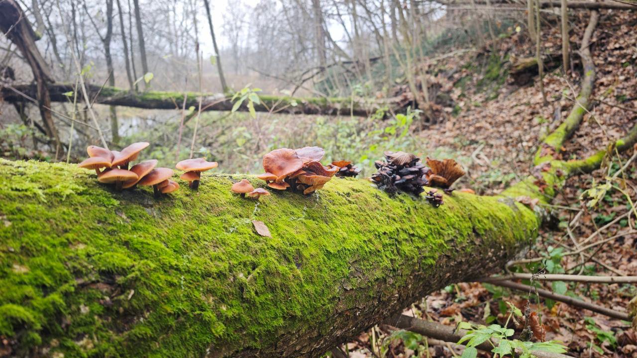 Расшарим красивые фото из телеграм-канала «Центр Дробышевского в Брянске» Расшарим красивые фото из телеграм-канала «Центр Дробышевского в Брянске»