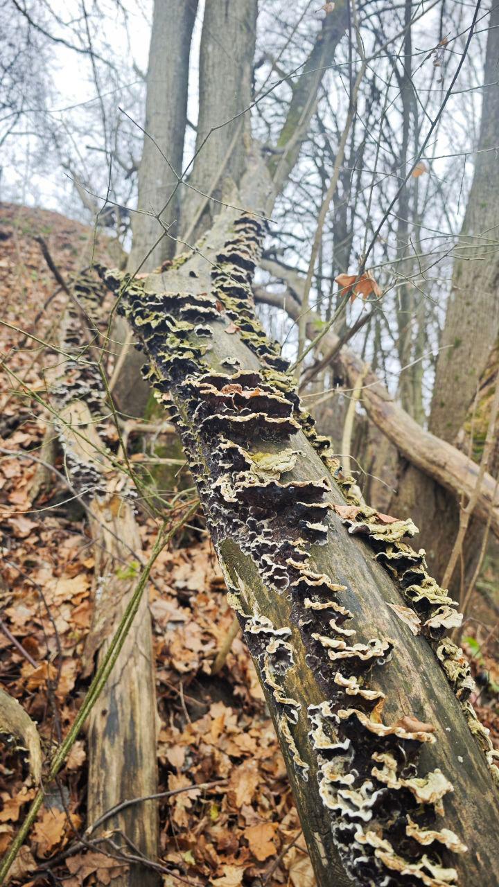 Расшарим красивые фото из телеграм-канала «Центр Дробышевского в Брянске» Расшарим красивые фото из телеграм-канала «Центр Дробышевского в Брянске»