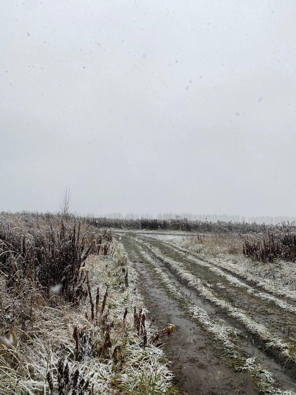 Расшарим красивые фото из телеграм-канала «Центр Дробышевского в Брянске» Расшарим красивые фото из телеграм-канала «Центр Дробышевского в Брянске»