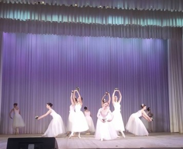 На сцене Детской школы искусств №1 им.Т.П.Николаевой встретились более пятисот юных танцоров из разных уголков Брянской области - участники IV Брянского областного хореографического конкурса «Феерия танца»