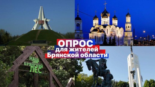 Социологический опрос среди жителей города Брянска