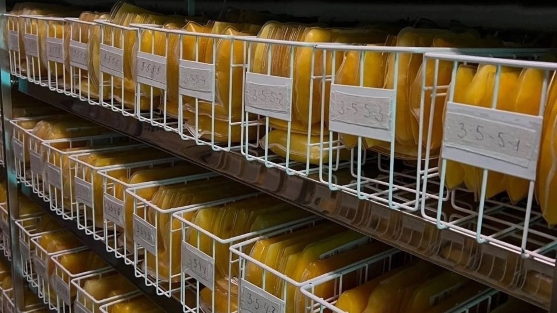 Донорская неделя в Брянске: более 650 человек сдали кровь