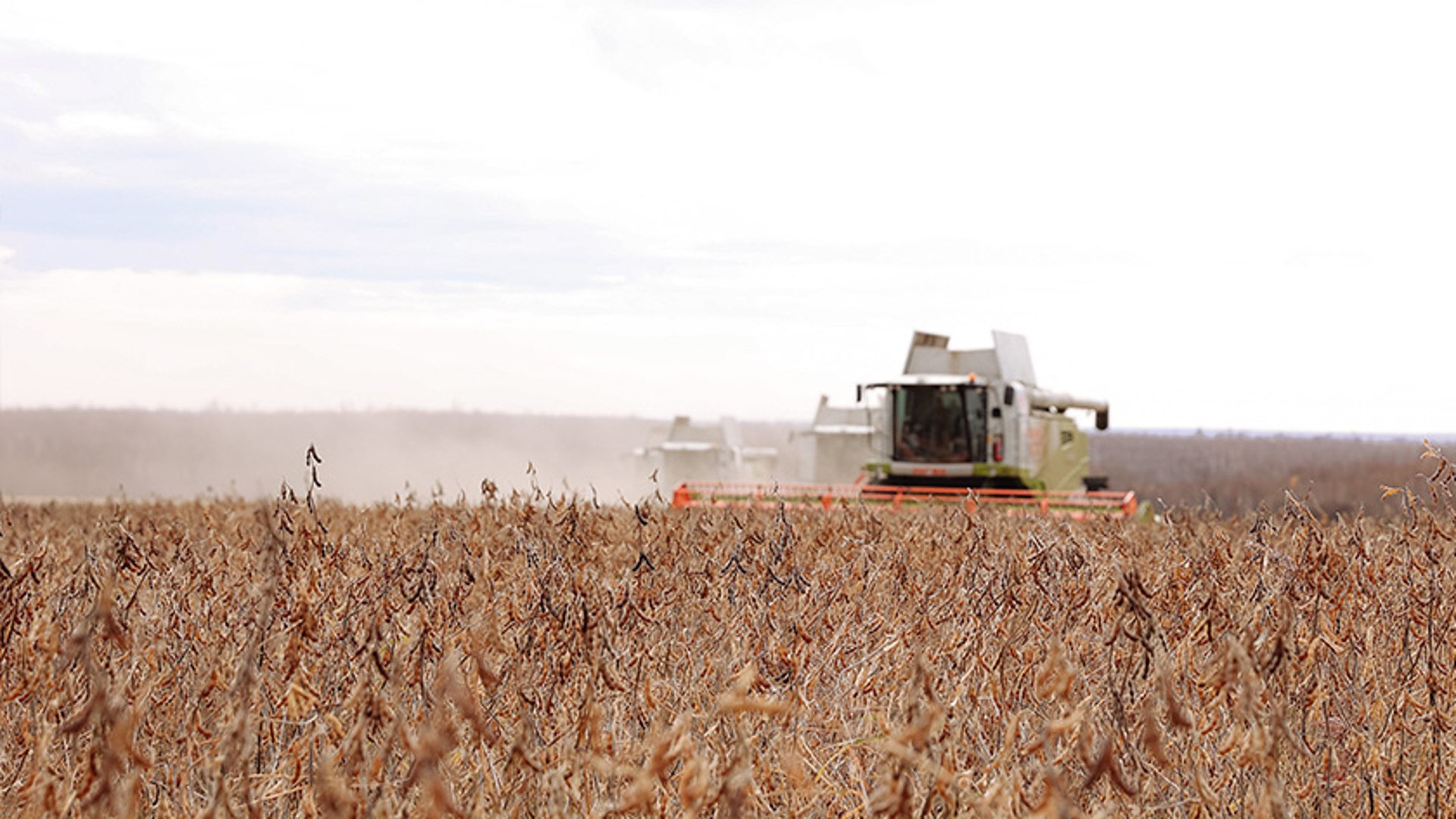 Брянский бизнес поддержали в 2025 году по программе льготного кредитования на 880 млн рублей