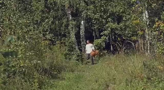 Видеоролик Центральной детской библиотеки им. М.Горького взял ПРИЗ ЗРИТЕЛЬСКИХ СИМПАТИЙ Международного фестиваля видеопоэзии "Видеостихия"!!!