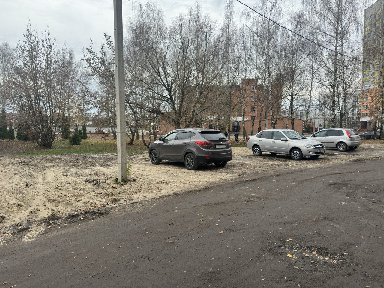 Защита экосистемы урочища «Лесные сараи»: борьба с несанкционированной парковкой